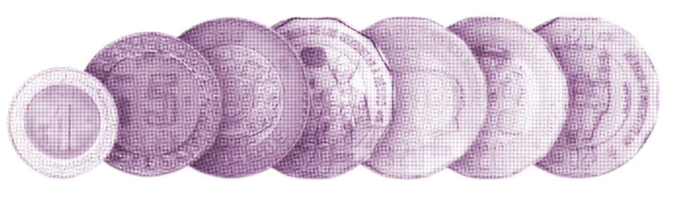 monedas abrir congresos
