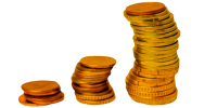 participativo guardines del presupuesto